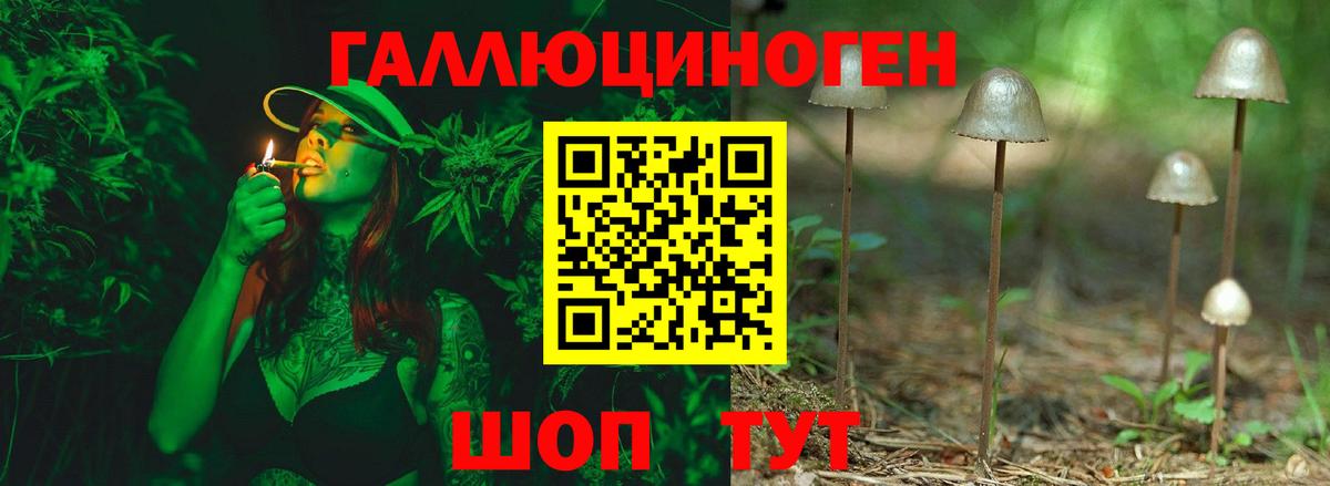 Псилоцибиновые грибы Magic Shrooms Углич